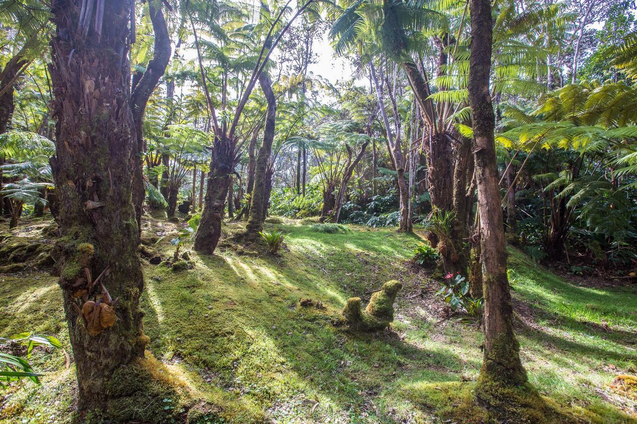 Hale Mauna Loa Upper Level With Shared Hot Tub Волкано Экстерьер фото